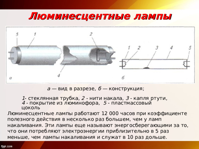 Люминесцентные лампы а — вид в разрезе, б — конструкция; 1 - стеклянная трубка, 2 - нити накала, 3 - капля ртути, 4 - покрытие из люминофора, 5 - пластмассовый цоколь Люминесцентные лампы работают 12 000 часов при коэффициенте полезного действия в несколько раз большем, чем у ламп накаливания. Эти лампы еще называют энергосберегающими за то, что они потребляют электроэнергии приблизительно в 5 раз меньше, чем лампы накаливания и служат в 10 раз дольше. 