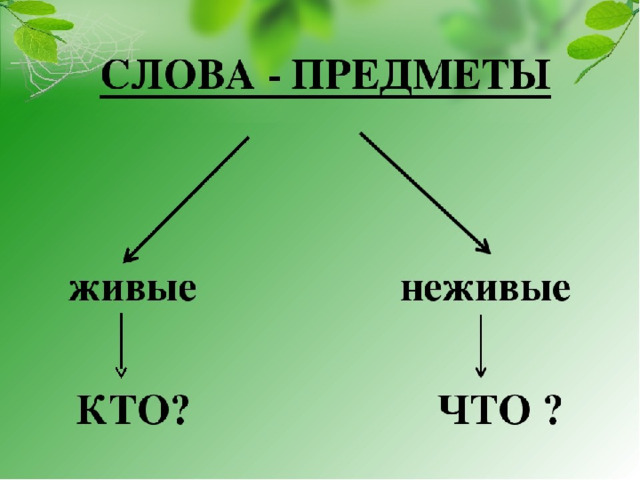 Презентация слова предметы слова действия слова признаки