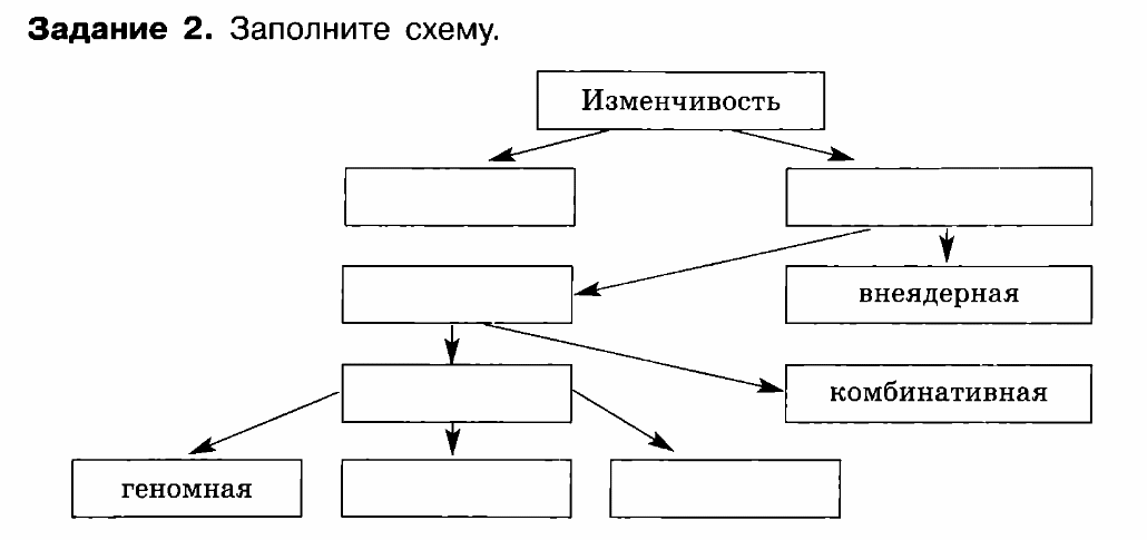 Блок схема изменчивость