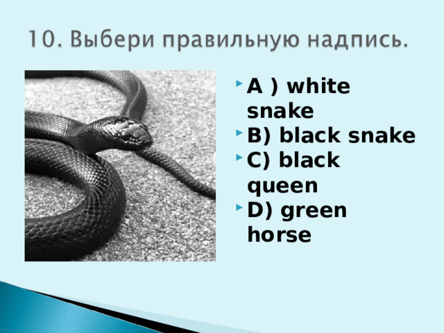 A ) white snake B) black snake C) black queen D) green horse 