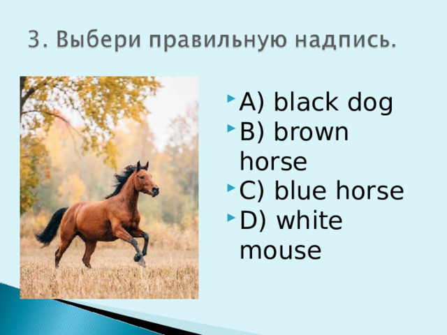 A) black dog B) brown horse C) blue horse D) white mouse  