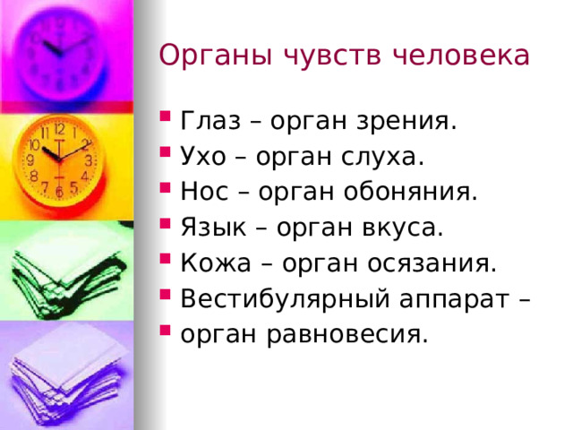 Органы чувств человека Глаз – орган зрения. Ухо – орган слуха. Нос – орган обоняния. Язык – орган вкуса. Кожа – орган осязания. Вестибулярный аппарат – орган равновесия. 