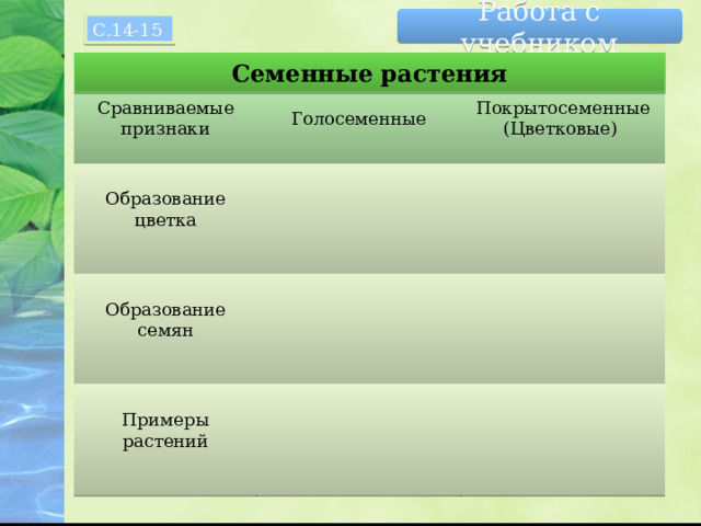 Работа с учебником С.14-15 Семенные растения  Голосеменные Покрытосеменные Сравниваемые признаки (Цветковые) Образование цветка Образование семян Нужно расставить «+» и «-» и по 2-3 примера. При наличии смарт-доски – работать можно с ней. Примеры растений  