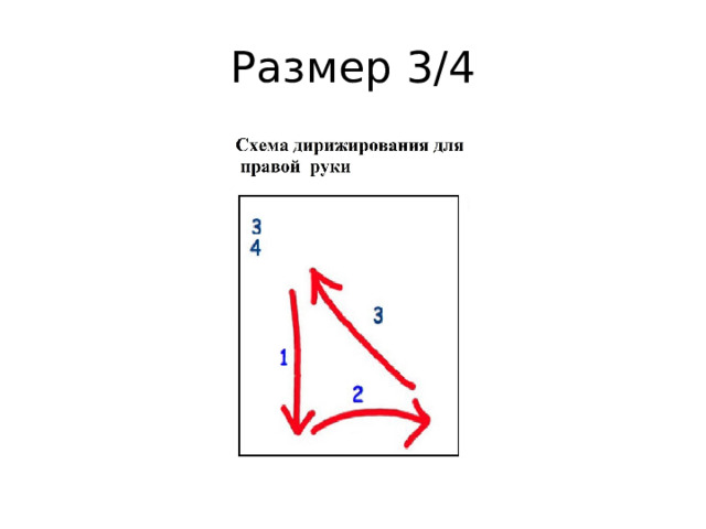 Размер 3/4 