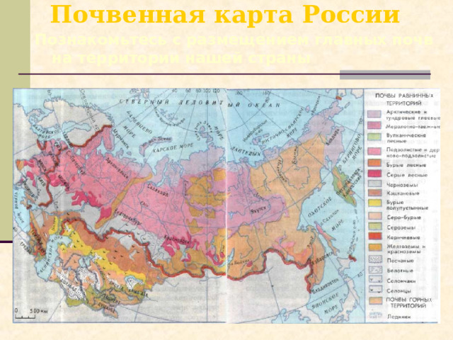 Почвенная карта России   Познакомьтесь с размещением главных почв на территории нашей страны 