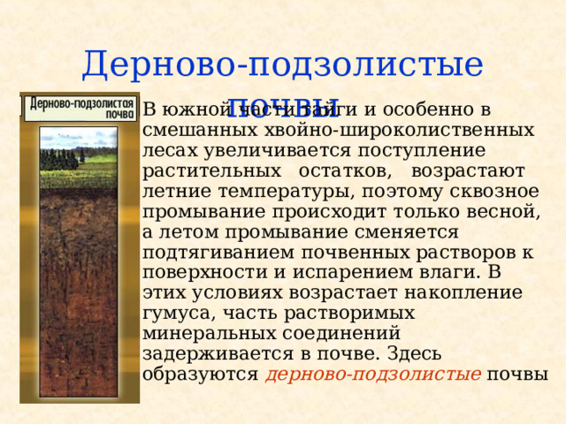 Дерново-подзолистые почвы В южной части тайги и особенно в смешанных хвойно-широколиственных лесах увеличивается поступление растительных остатков, возрастают летние температуры, поэтому сквозное промывание происходит только весной, а летом промывание сменяется подтягиванием почвенных растворов к поверхности и испарением влаги. В этих условиях возрастает накопление гумуса, часть растворимых минеральных соединений задерживается в почве. Здесь образуются дерново-подзолистые почвы 