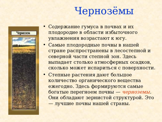 Почвы формируется в условиях избыточного увлажнения. Содержание гумуса в черноземах. Черноземные почвы. Мерзлотно-Таежные почвы. Гумус почвы.