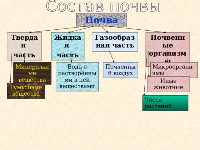 Почва Газообразная часть Твердая часть Почвенные организмы Жидкая часть Микроорганизмы Почвенный воздух Вода с растворёнными в ней веществами Минеральные вещества Иные животные Гумусовые вещества Части растений 