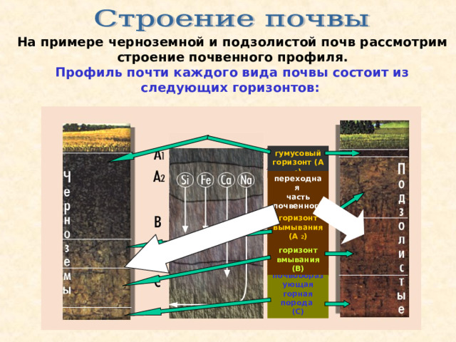 Рисунок виды почв