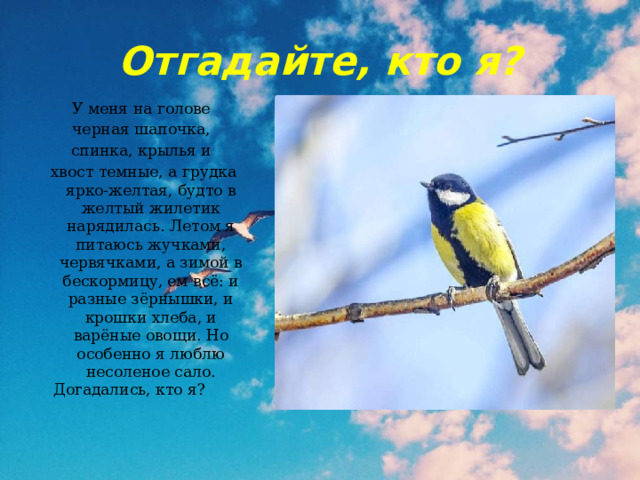 Отгадайте, кто я? У меня на голове черная шапочка, спинка, крылья и хвост темные, а грудка ярко-желтая, будто в желтый жилетик нарядилась. Летом я питаюсь жучками, червячками, а зимой в бескормицу, ем всё: и разные зёрнышки, и крошки хлеба, и варёные овощи. Но особенно я люблю несоленое сало. Догадались, кто я? 