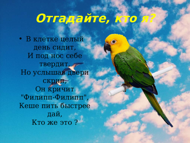 Отгадайте, кто я? В клетке целый день сидит,  И под нос себе твердит,  Но услышав двери скрип,  Он кричит 
