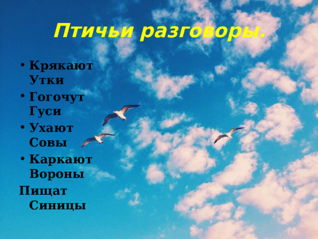 Птичьи разговоры. Крякают Утки Гогочут Гуси Ухают Совы Каркают Вороны Пищат Синицы 