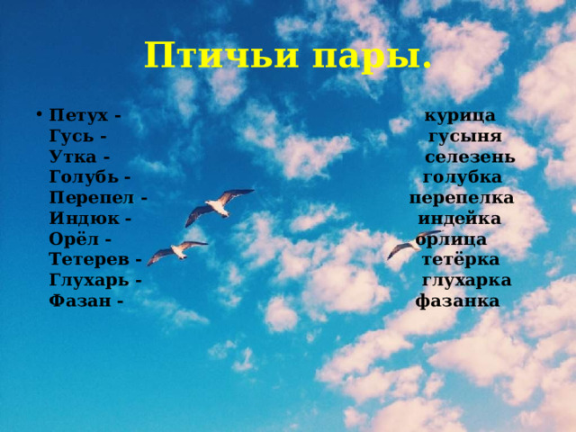 Птичьи пары. Петух - курица  Гусь - гусыня  Утка - селезень  Голубь - голубка  Перепел - перепелка  Индюк - индейка  Орёл - орлица  Тетерев - тетёрка  Глухарь - глухарка  Фазан - фазанка 