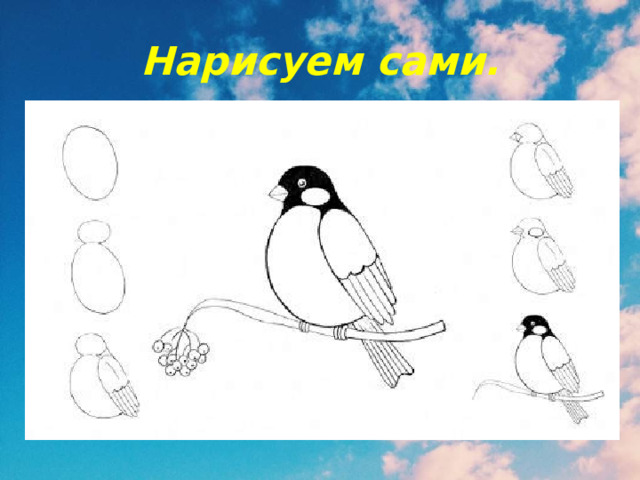 Нарисуем сами. 