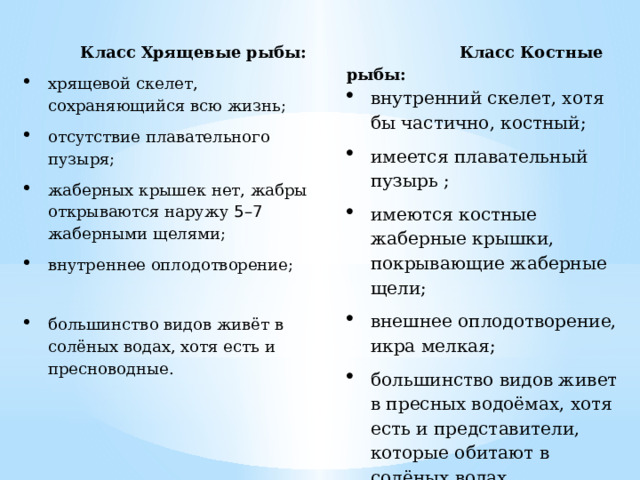 Хрящевые рыбы жабры открываются наружу жаберными щелями