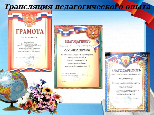 Трансляция педагогического опыта 