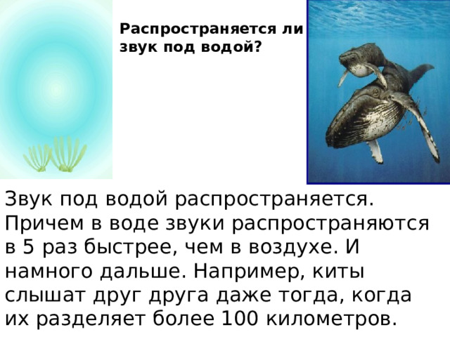 Распространяется ли звук под водой?  Звук под водой распространяется. Причем в воде звуки распространяются в 5 раз быстрее, чем в воздухе. И намного дальше. Например, киты слышат друг друга даже тогда, когда их разделяет более 100 километров. 
