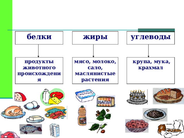 Белки и жиры в продуктах