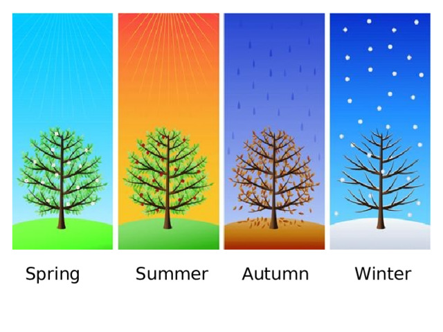 Spring Summer Autumn Winter 