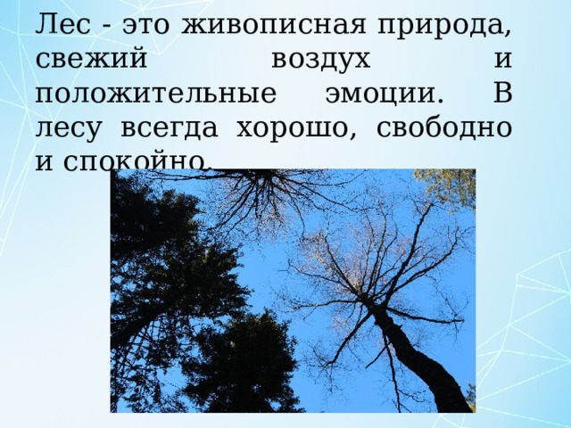 Лес - это живописная природа, свежий воздух и положительные эмоции. В лесу всегда хорошо, свободно и спокойно. 