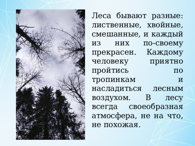 Леса бывают разные: лиственные, хвойные, смешанные, и каждый из них по-своему прекрасен. Каждому человеку приятно пройтись по тропинкам и насладиться лесным воздухом. В лесу всегда своеобразная атмосфера, не на что, не похожая. 