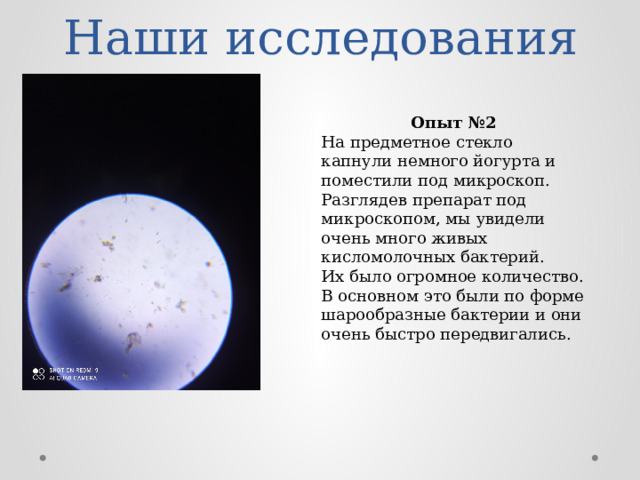 Наши исследования Опыт №2 На предметное стекло капнули немного йогурта и поместили под микроскоп. Разглядев препарат под микроскопом, мы увидели очень много живых кисломолочных бактерий. Их было огромное количество. В основном это были по форме шарообразные бактерии и они очень быстро передвигались. 