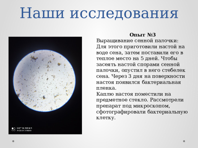 Наши исследования Опыт №3 Выращивание сенной палочки: Для этого приготовили настой на воде сена, затем поставили его в теплое место на 5 дней. Чтобы засеять настой спорами сенной палочки, опустил в него стебелек сена. Через 3 дня на поверхности настоя появился бактериальная пленка. Каплю настоя поместили на предметное стекло. Рассмотрели препарат под микроскопом, сфотографировали бактериальную клетку. 