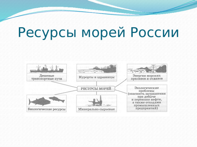 Ресурсы морей России 