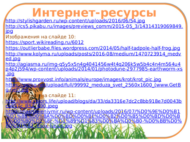 Интернет-ресурсы http://stylishgarden.ru/wp-content/uploads/2016/06/54.jpg http://cs5.pikabu.ru/images/previews_comm/2015-05_3/14314319069849.jpg Изображения на слайде 10: https://sport.wikireading.ru/6012 https://outlierbabe.files.wordpress.com/2014/05/half-tadpole-half-frog.jpg http://www.kolyma.ru/uploads/posts/2016-08/medium/1470723914_medved.jpg http://agiasma.ru/img-q5y5x5n4g4041456w4t4q206k5w5b4c4n4m564u4p4p2j594/wp-content/uploads/2014/01/photodune-2977985-earthworm-xs.jpg http://www.proxvost.info/animals/europe/images/krot/krot_pic.jpg https://getbg.net/upload/full/99992_meduza_svet_2560x1600_(www.GetBg.net).jpg Изображения на слайде 11: http://www.colors.life/upload/blogs/da/33/da3316e7dc2c8bb918e7d0043bcb057c_RSZ_690.jpeg https://nashzeleniymir.ru/wp-content/uploads/2016/07/%D0%9E%D0%B1%D1%8B%D0%BA%D0%BD%D0%BE%D0%B2%D0%B5%D0%BD%D0%BD%D0%B0%D1%8F-%D1%89%D1%83%D0%BA%D0%B0-%D0%BB%D0%B0%D1%82.-Esox-lucius.jpg 