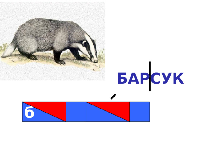 БАРСУК б 