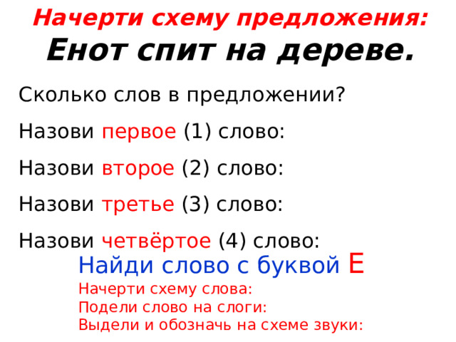 Сколько звуков и букв в слове енот. Сколько звуков в слове енот.