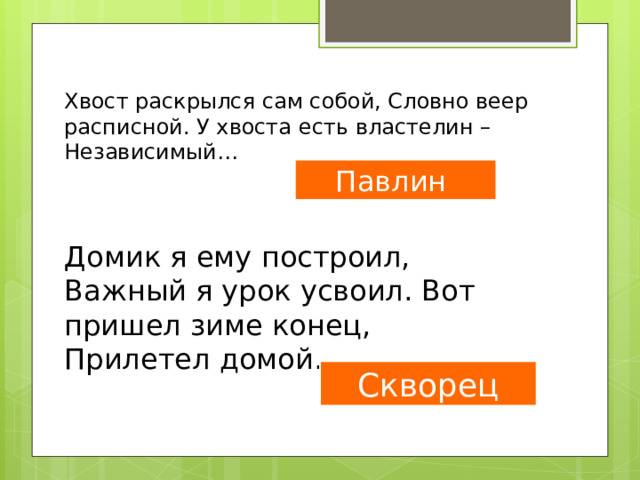 Хвост раскрылся сам собой, Словно веер расписной. У хвоста есть властелин – Независимый… Павлин Домик я ему построил, Важный я урок усвоил. Вот пришел зиме конец, Прилетел домой… Скворец 