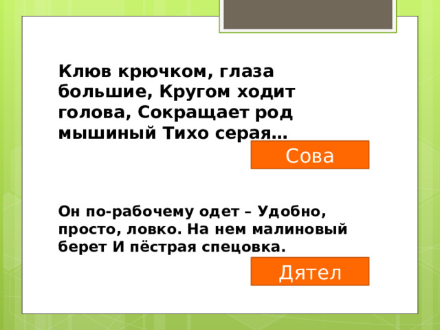 Клюв крючком, глаза большие, Кругом ходит голова, Сокращает род мышиный Тихо серая… Сова Он по-рабочему одет – Удобно, просто, ловко. На нем малиновый берет И пёстрая спецовка. Дятел 