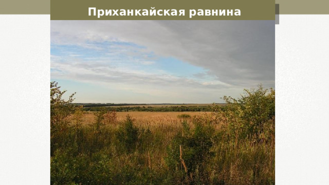 Приханкайская равнина 