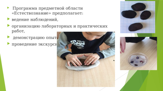  Программа предметной области «Естествознание» предполагает: ведение наблюдений, организацию лабораторных и практических работ,  демонстрацию опытов, проведение экскурсий. 