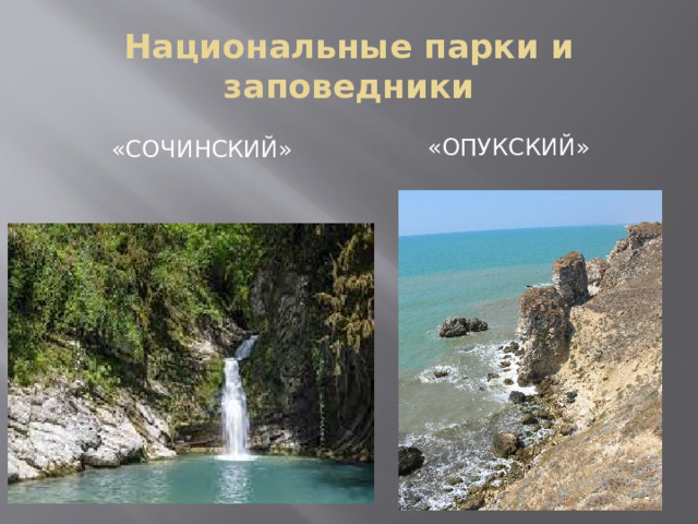 Национальные парки и заповедники «ОПУКСКИЙ» «Сочинский»  