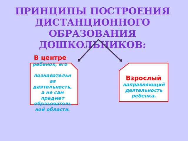 Принципы построения дистанционного образования дошкольников: Взрослый В центре  направляющий деятельность ребенка. ребенок, его познавательная деятельность, а не сам предмет образовательной области.