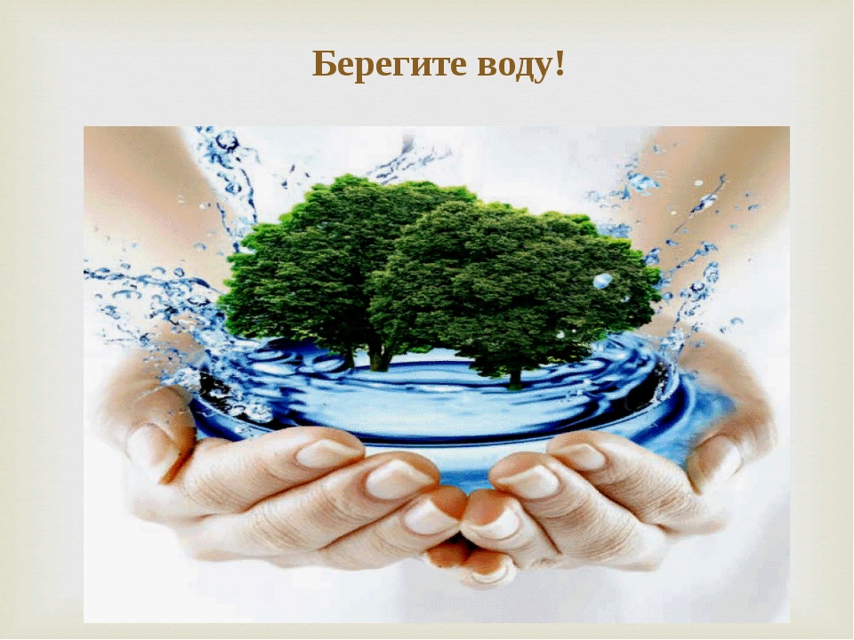 Экология воды проект