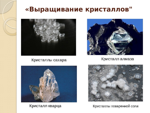 В озеро бросили кристаллик соли. Кристаллы соли и сахара. Монокристалл сахара. Кристаллы поваренной соли. Кристаллы поваренной сахара.