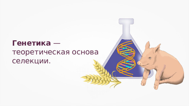 Генетика и селекция презентация