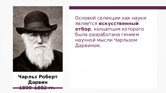 Основой селекции как науки является искусственный отбор , концепция которого была разработана гением научной мысли Чарльзом Дарвином. Чарльз Роберт Дарвин 1809–1882  гг.  