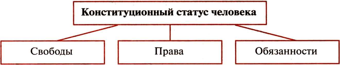 Конституционный статус человека. Схема Конституционный статус личности. Конституционный статус личности права свободы и обязанности. Конституционные личности схема.