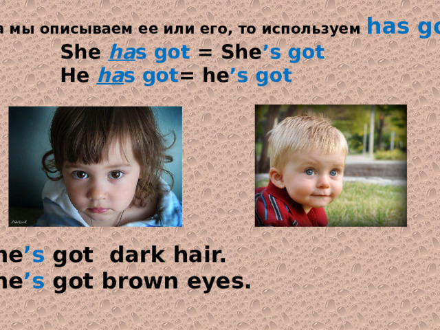 Когда мы описываем ее или его, то используем has got She ha s  got = She ’s  got He ha s  got = he ’s  got She ’s got dark hair. She ’s got brown eyes. 