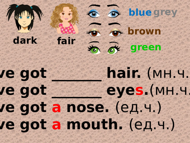grey blue brown dark fair green I’ve got _______ hair. (мн.ч.) I’ve got _______ eye s . (мн.ч.) I’ve got a nose. (ед.ч.) I’ve got a mouth. (ед.ч.) 