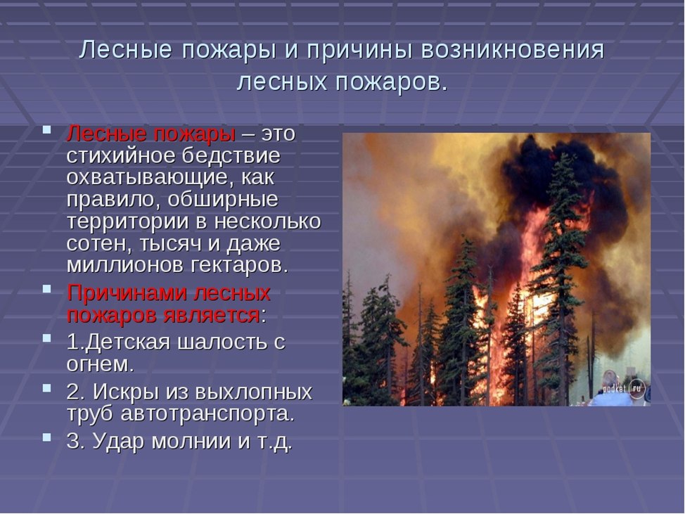 Пожар вред. Причины природных пожаров. Причины лесных пожаров. Причины появления лесных пожаров. Причины возникновения лесных пожаров.