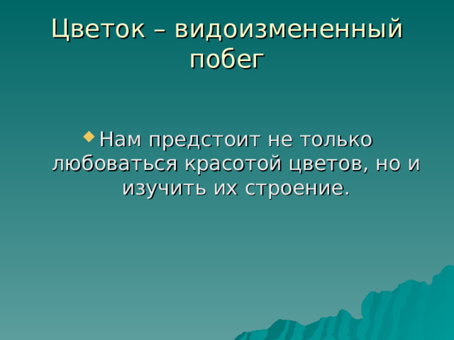 Цветок – видоизмененный побег Нам предстоит не только любоваться красотой цветов, но и изучить их строение. Мы, наконец, подошли к уроку, посвященному цветам.  