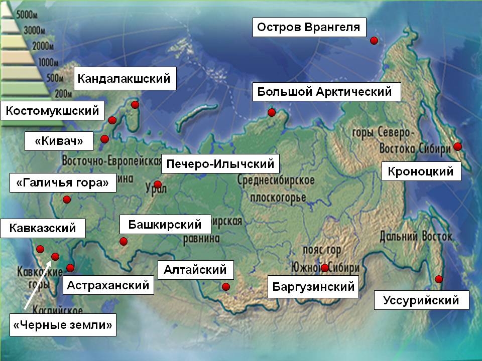 Особо охраняемые природные территории россии презентация 8 класс география