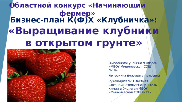 Областной конкурс «Начинающий фермер» Бизнес-план К(Ф)Х «Клубничка»: «Выращивание клубники в открытом грунте» Выполнила: ученица 9 класса «МБОУ Мишелевская СОШ №19» Литовкина Елизавета Петровна Руководитель: Сластная Оксана Анатольевна, учитель химии и биологии МБОУ «Мишелевская СОШ №19» 