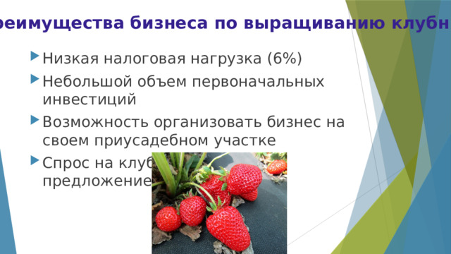 Преимущества бизнеса по выращиванию клубники: Низкая налоговая нагрузка (6%) Небольшой объем первоначальных инвестиций Возможность организовать бизнес на своем приусадебном участке Спрос на клубнику выше, чем предложение 