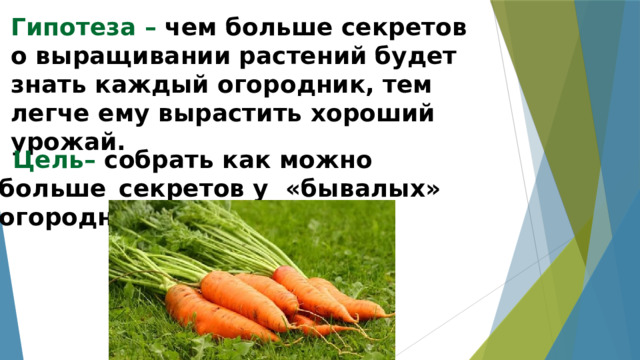 Гипотеза –  чем больше секретов о выращивании растений будет знать каждый огородник, тем легче ему вырастить хороший урожай.    Цель–  собрать как можно больше  секретов у «бывалых» огородников.   